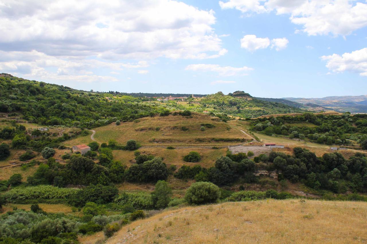 Antas Bed & Breakfast Padria Exterior foto